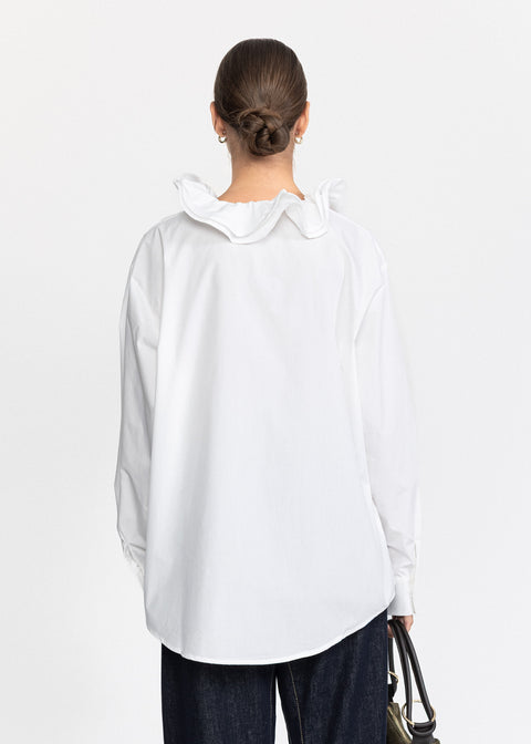 Elegant Shirt with a Wide Collar 1106
