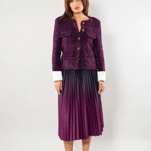 Fustă plisată în degrade – eleganță și rafinament în culori sofisticate